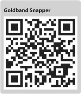  Image for QR code for this page